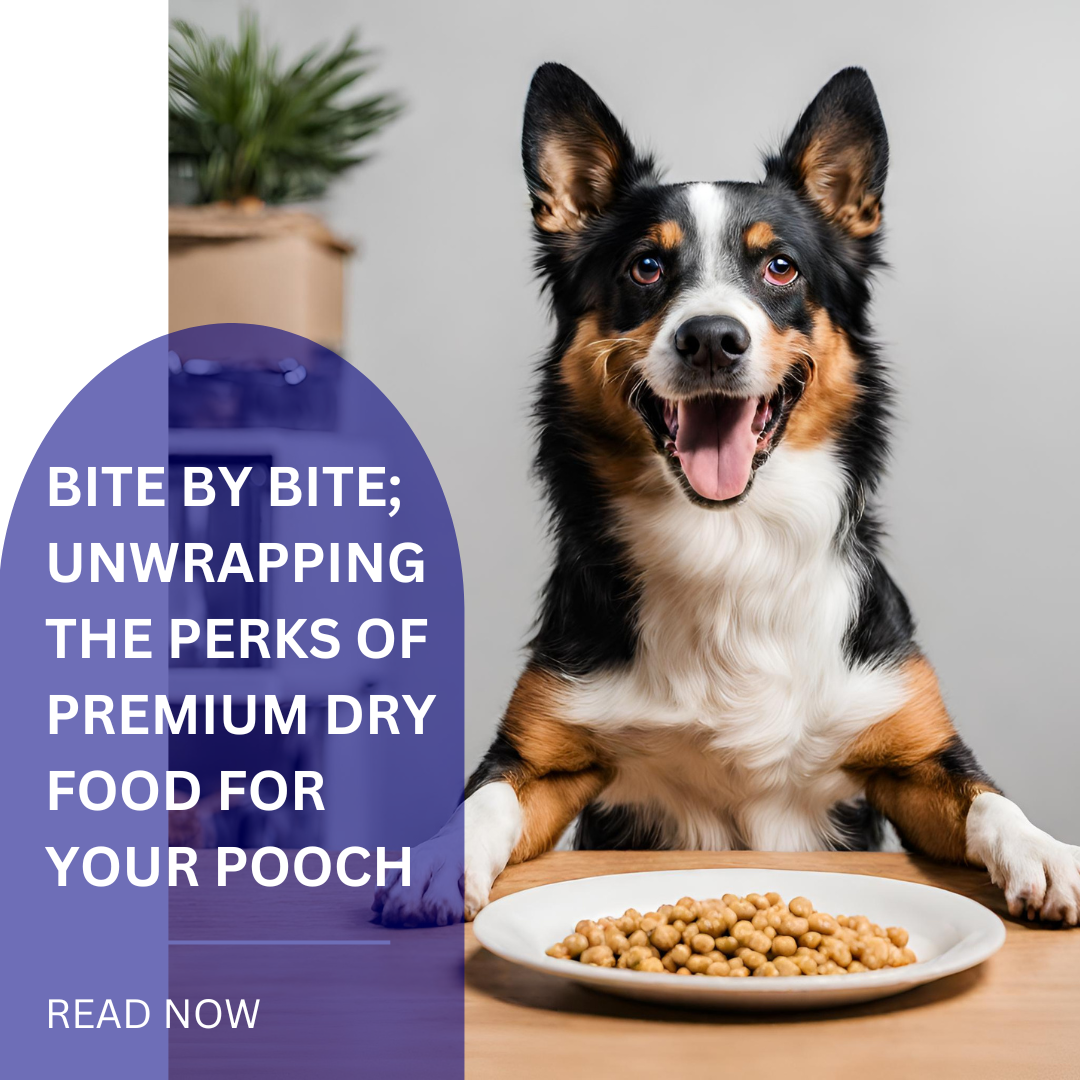 Best dry food for australian shepherd best sale