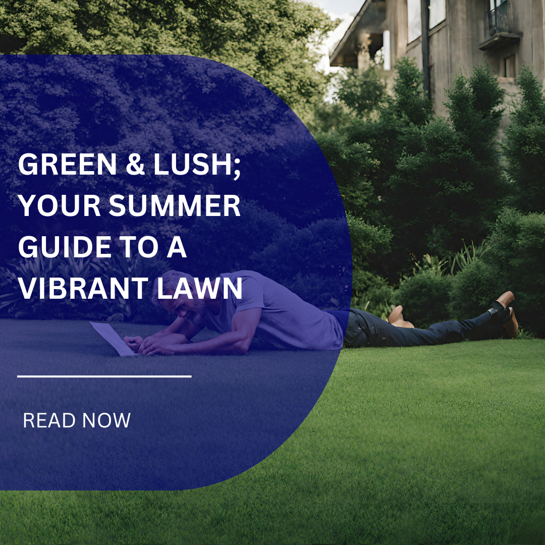 Green and Lush: Your Summer Guide to a Vibrant Lawn