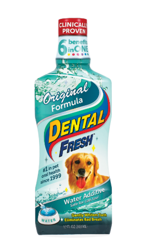 Dental Fresh Original