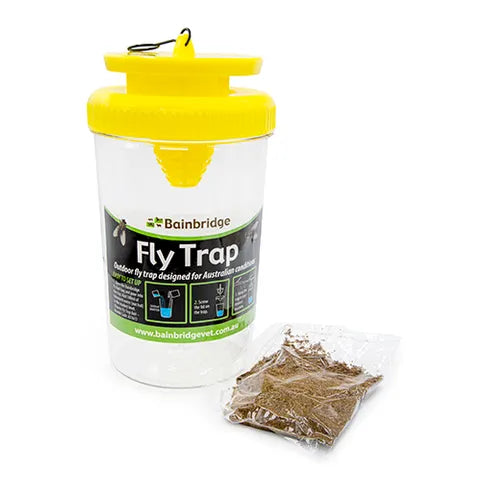 Fly Trap with Bait