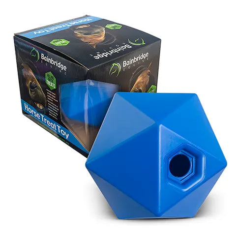 Horse ball treat toy