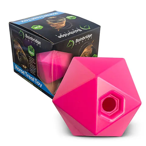 Horse ball treat toy