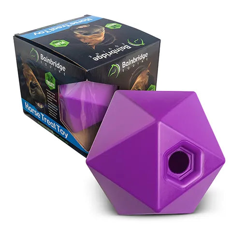 Horse ball treat toy