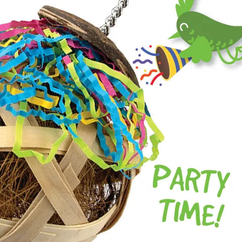 Bird Toy Destructive Tetherball