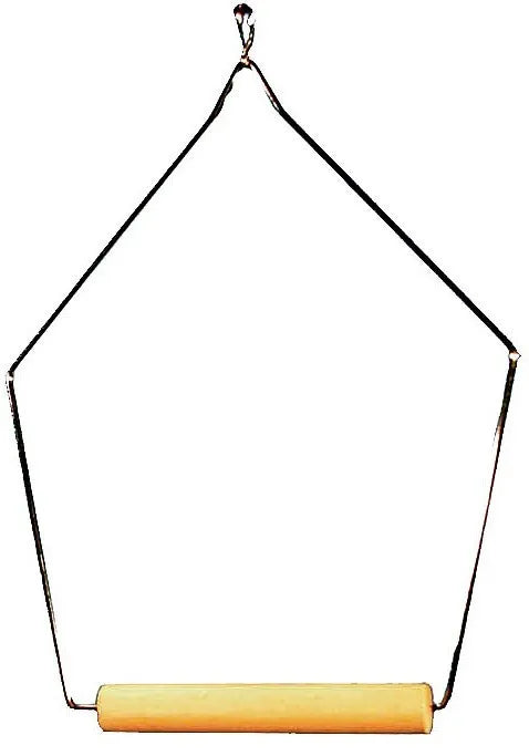Wire Swing