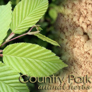 Country Park Herbs Slippery Elm