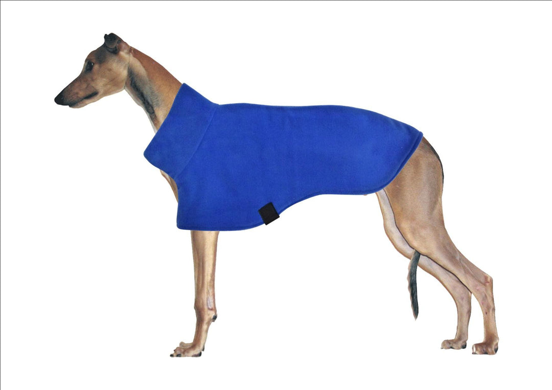 Long Neck Skivvy