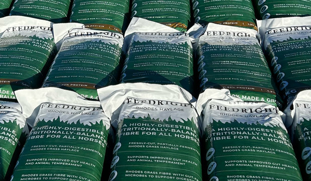 FeedRight Rhodes Grass Haylage