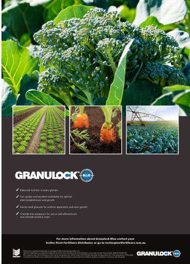 Intec Granulock Blue