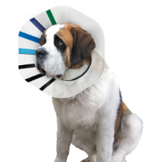 Kong EZ Collar Clear