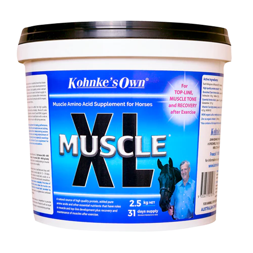 Kohnke Muscle XL