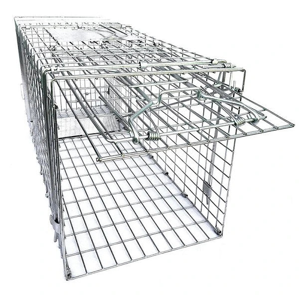 Animal trap Large - Collapsible