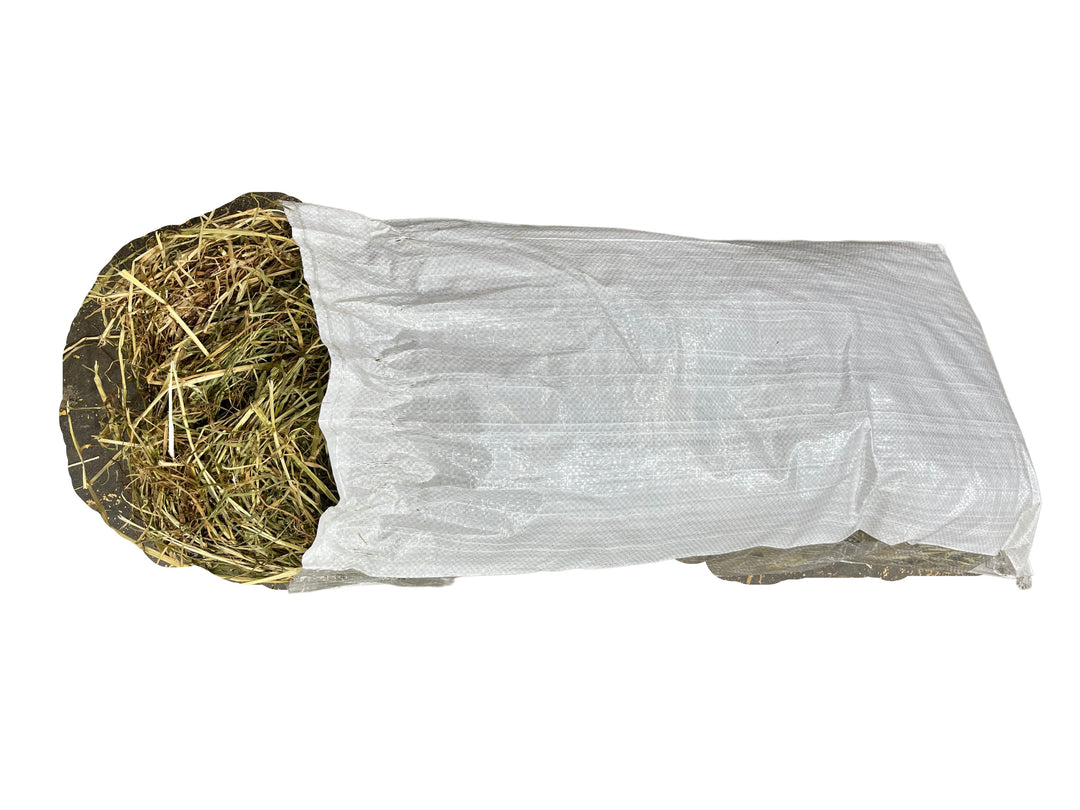 Northern Grass Hay