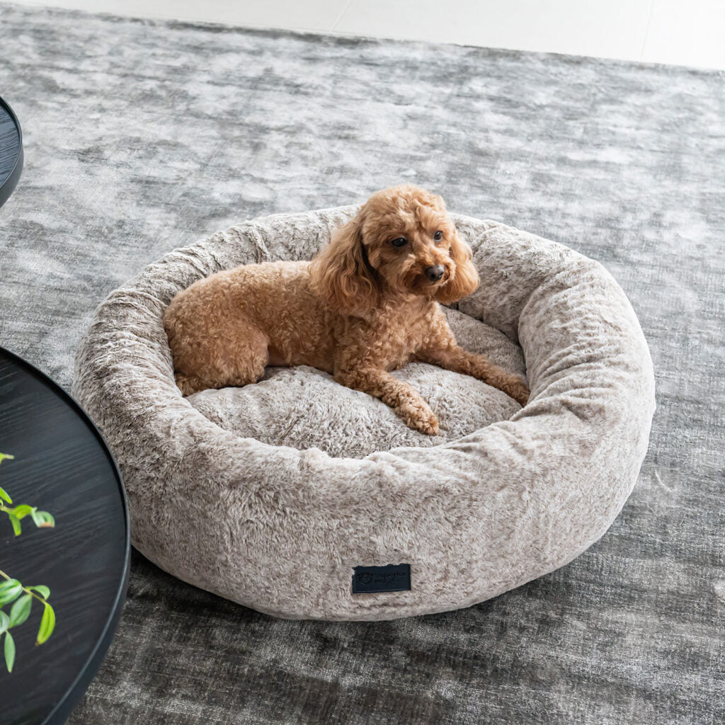 Harley Latte Dog Bed