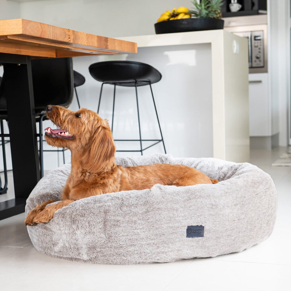 Harley Latte Dog Bed