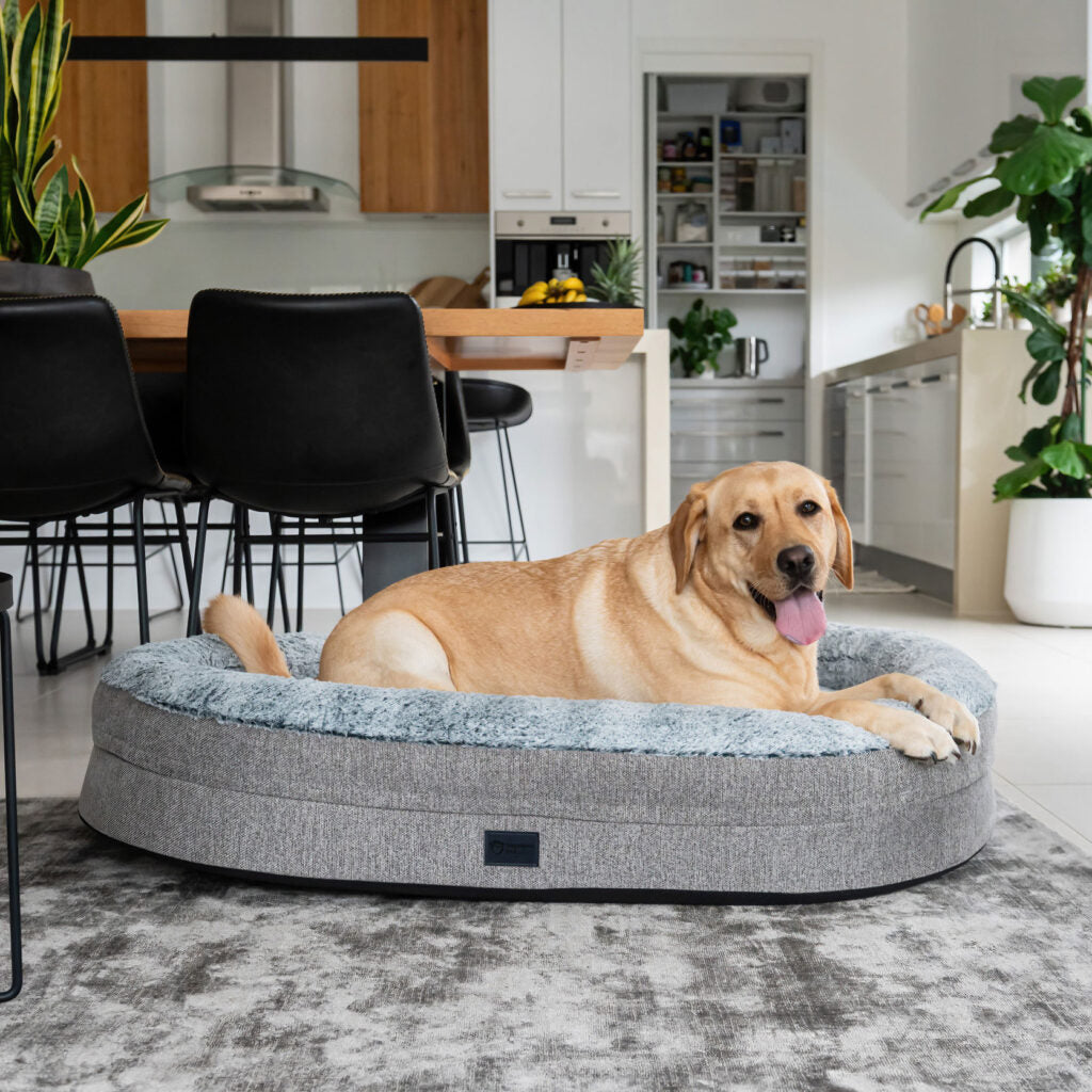 Orthopaedic Memory Rest Harlow Dog Bed