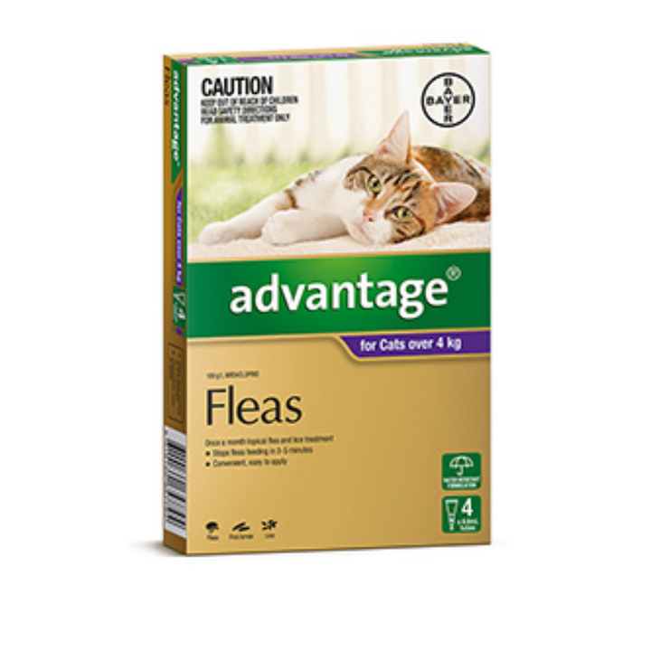 Advantage Cat 4 's