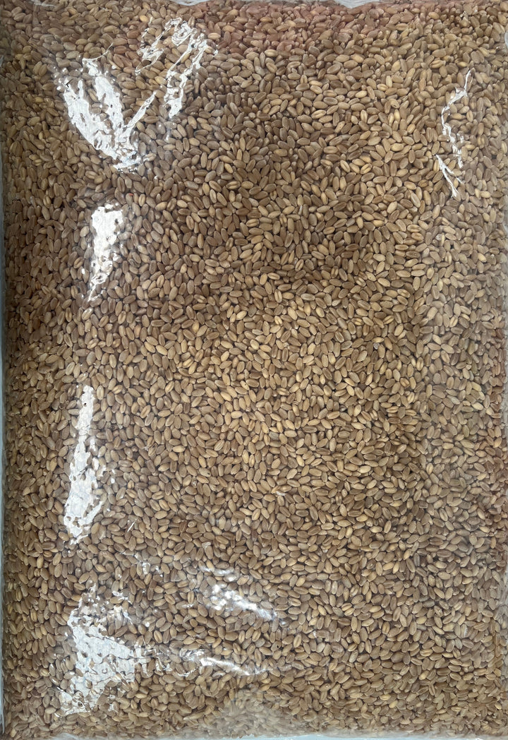 Wheat Whole 5kg
