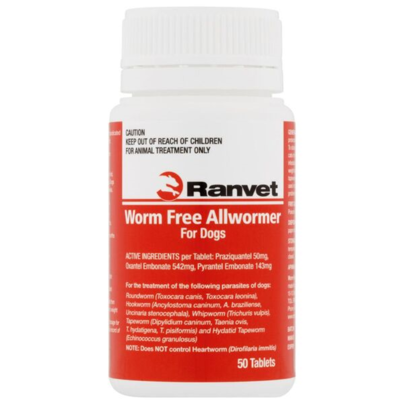 Ranvet AllWormer dog
