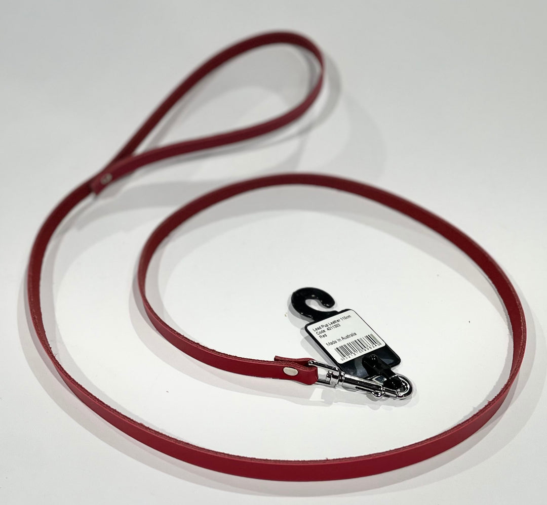 Leather Lead 10mm x 110cm