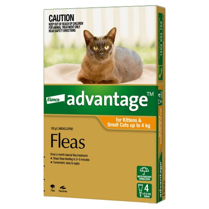 Advantage Cat 4 's