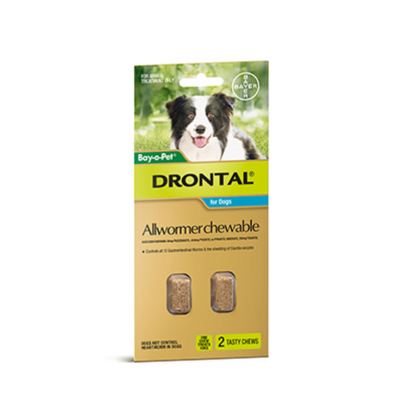 Drontal All Wormer