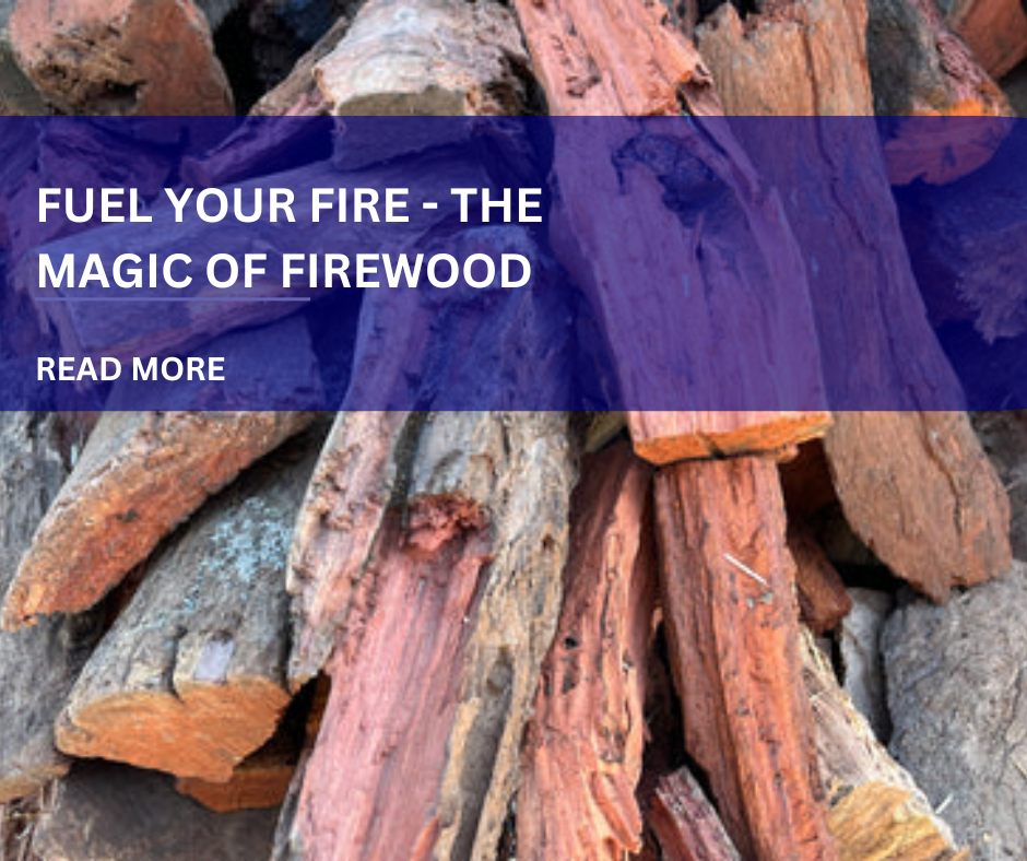 Fuel Your Fires: The Magic of Firewood