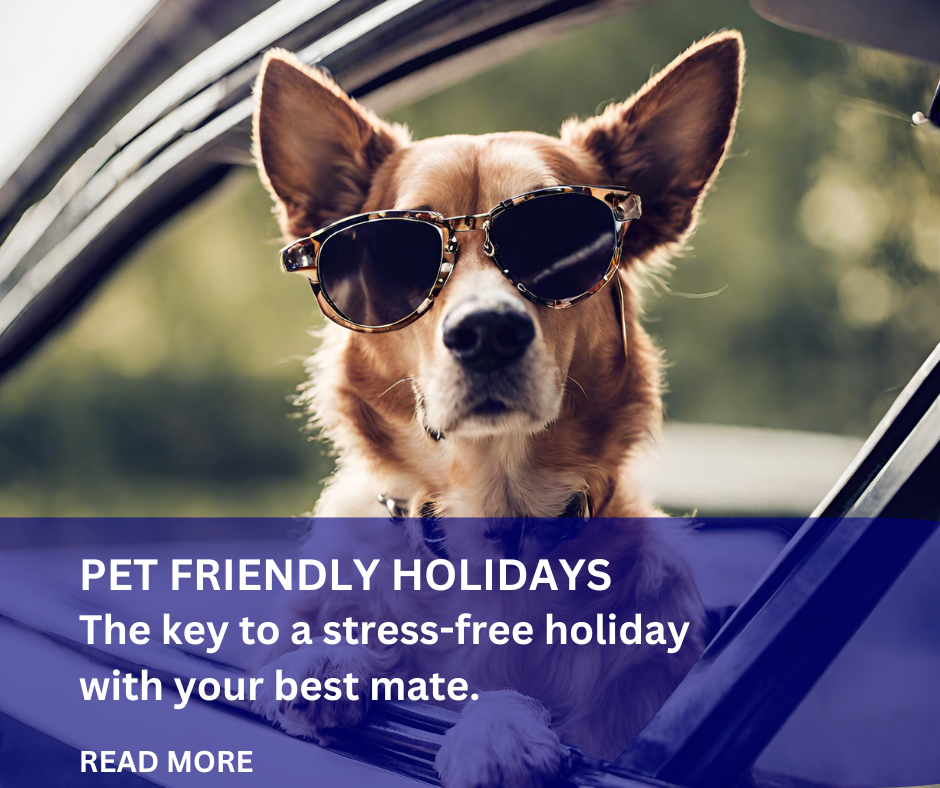 Pet-Friendly Holidays: The key to a stress-free holiday with your best mate.