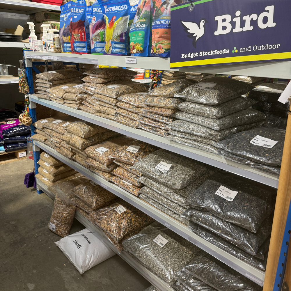 Bird Seeds & Grains