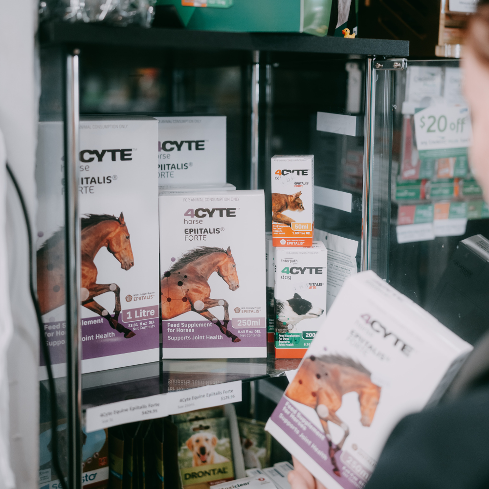 Horse Supplements