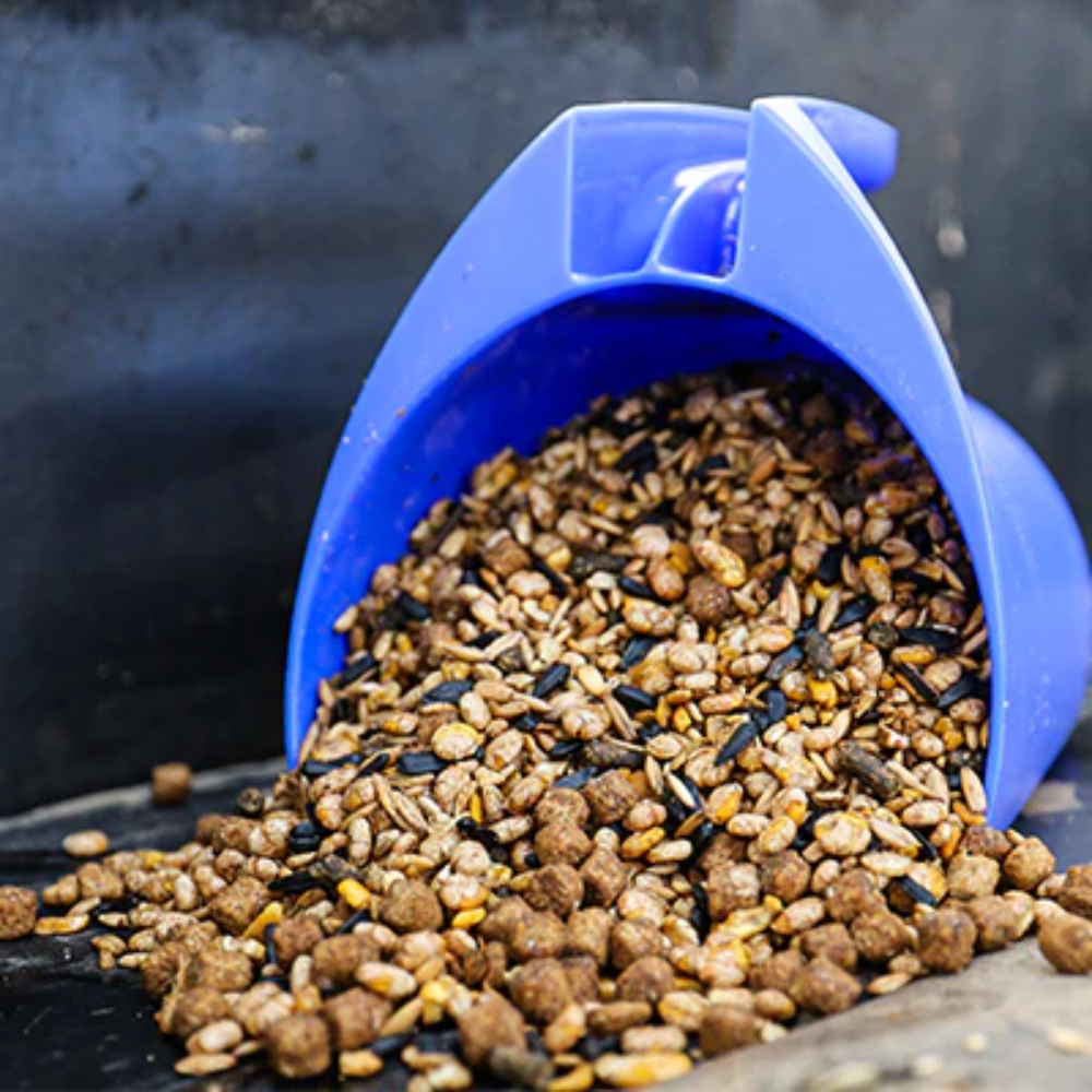 Horse Feed