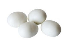 Avian care bird false bird eggs