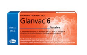 Zoetis Glanvac 6