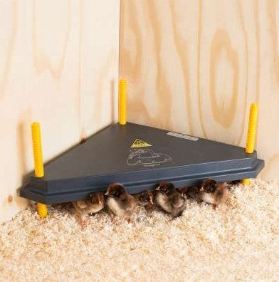 Chick Heating Plate