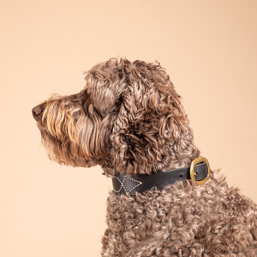 Rosie Collar