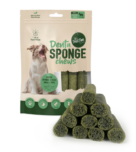 It's Treat Time Dental Sponge Stick
