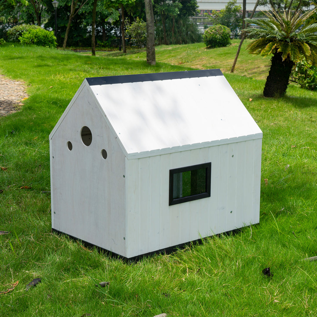 Modern Dog Kennel