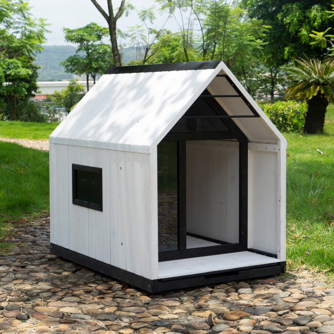 Modern Dog Kennel