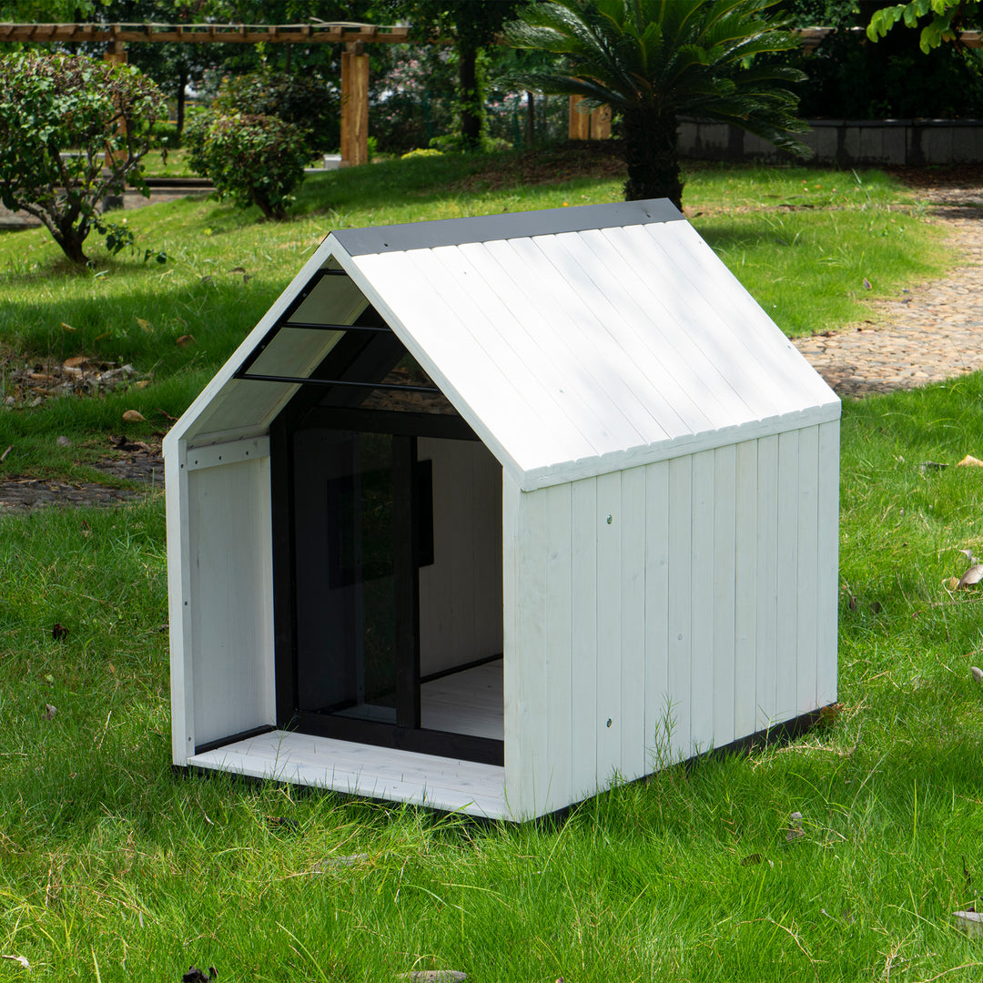 Modern Dog Kennel