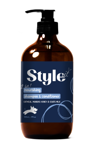 Style It 2 in 1 Shampoo & Conditioner