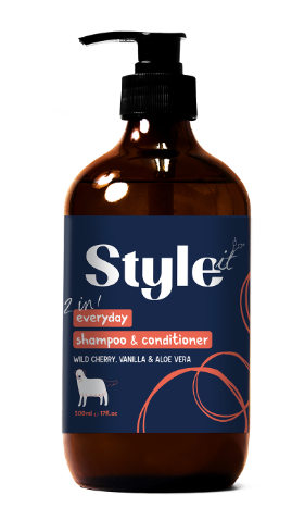 Style It 2 in 1 Every Day Shampoo & Conditioner