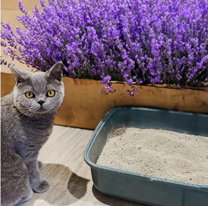 Poowee Cat Litter Clumping Lavender