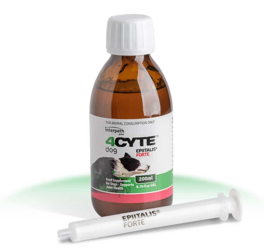 4Cyte Canine Epiitalis