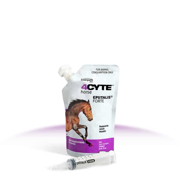 4Cyte Equine Epiitalis Forte