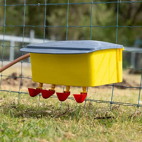 Bainbridge Automatic Chook Waterer