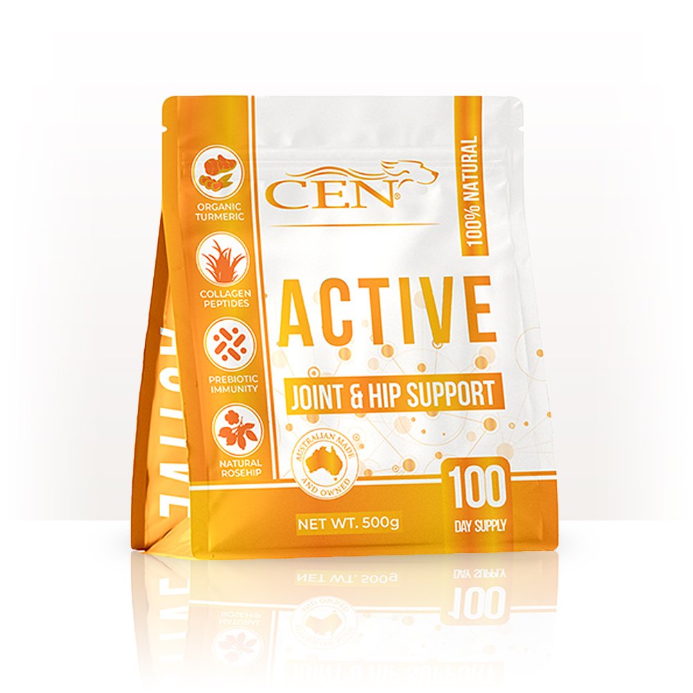 CEN Active Dog