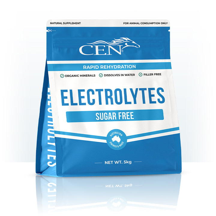 CEN Complete Electrolite