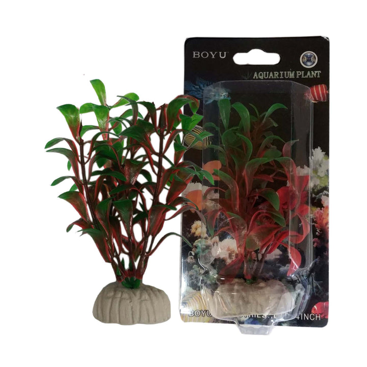 Boyu Plastic Plant 4"