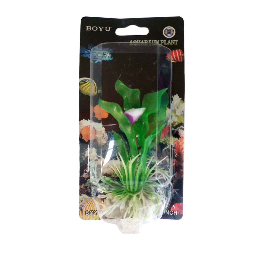 Boyu Plastic Plant 4"