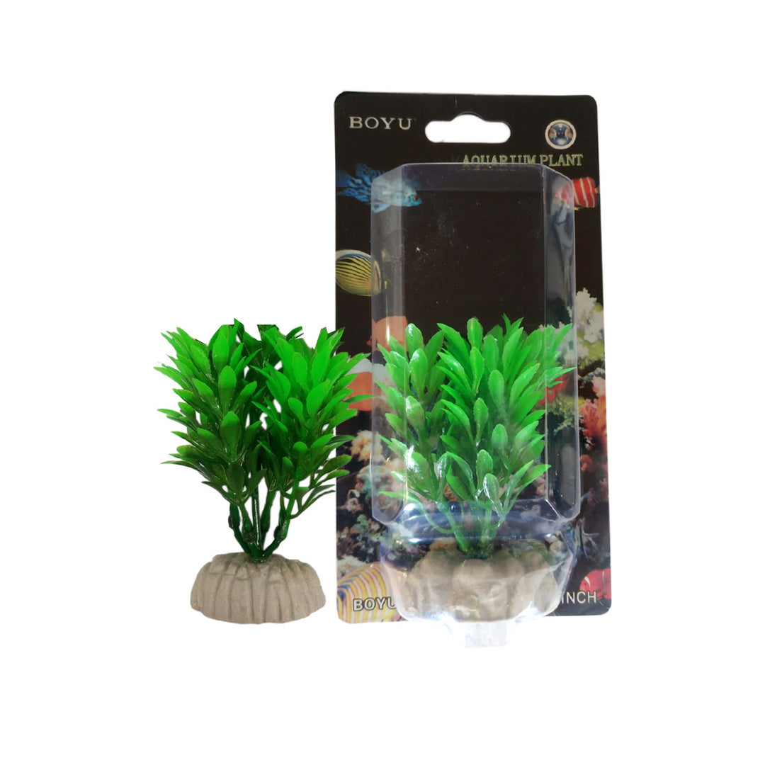 Boyu Plastic Plant 4"